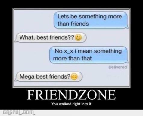 friend-zonee